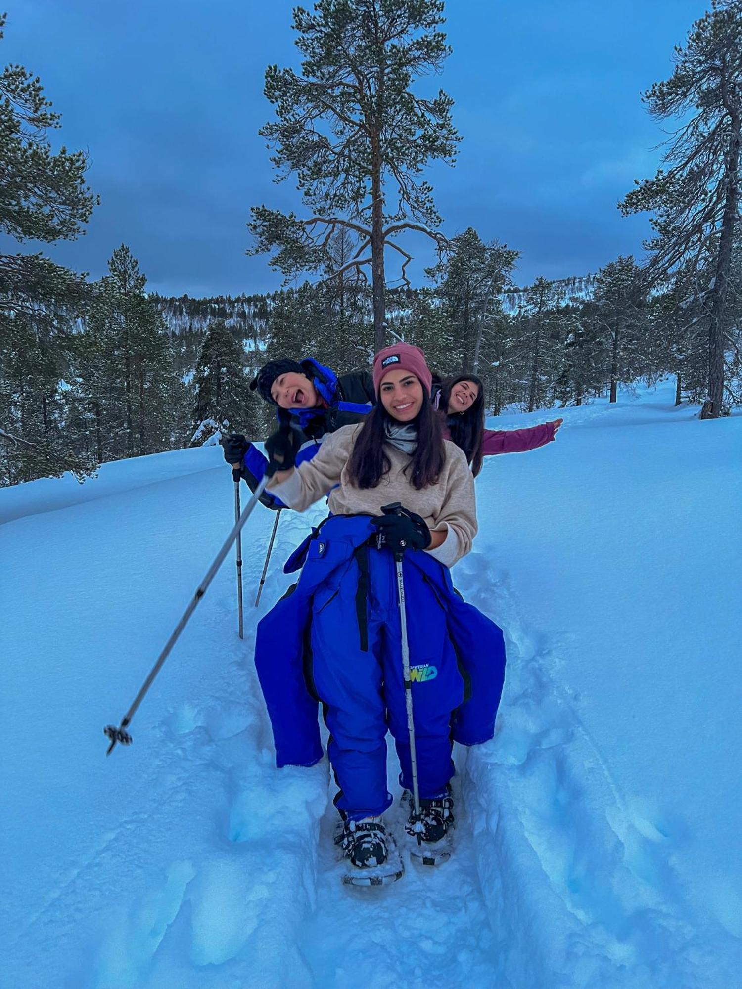 Norwegian Wild Βίλα Brygghaugen Εξωτερικό φωτογραφία