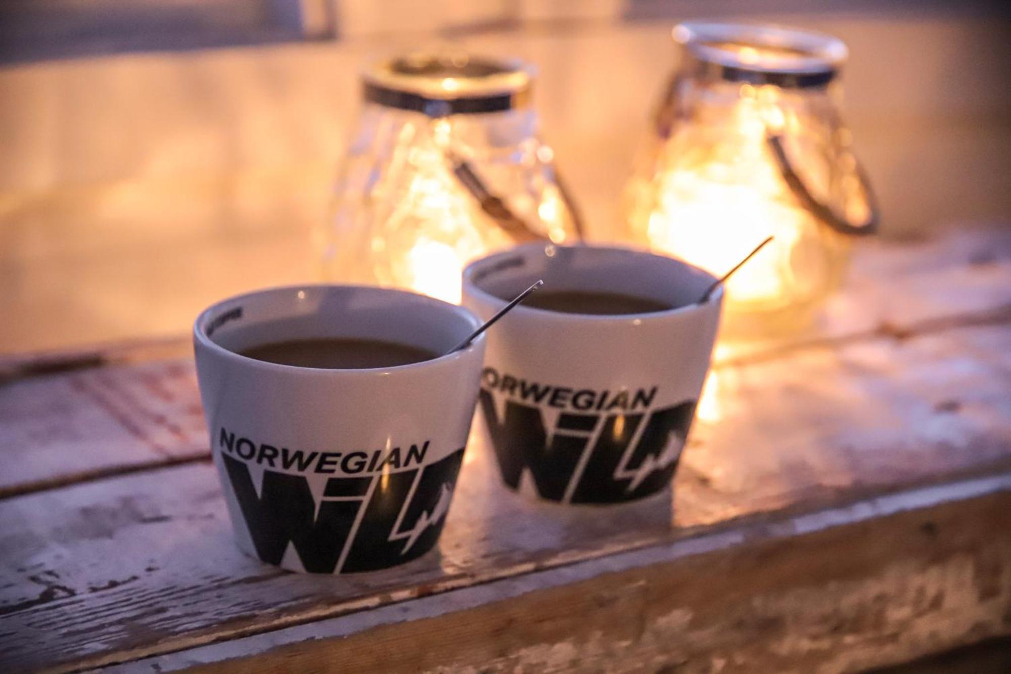Norwegian Wild Βίλα Brygghaugen Εξωτερικό φωτογραφία